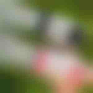 69-Loch LED Seifenblasenpistole | BUBBLEPUFF