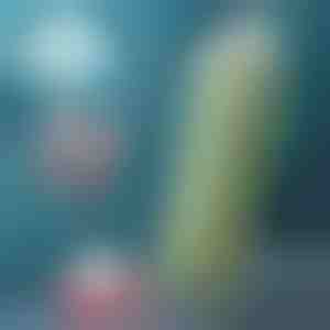 Faltbare Wasserflasche (600 ml) | FOLDSIP