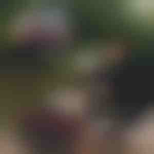 Zusammenklappbarer Fischereimer | RIBETINA