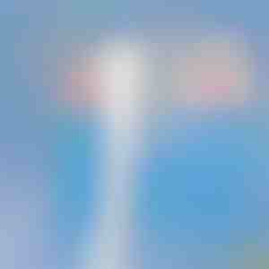 Fensterreiniger | WINDCLEAN