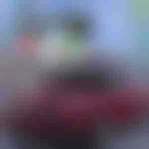 Bester sommer-schutz für autos! | CARCOVER