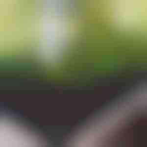 Gartenhochbeet aus Stoff | FLORAISE