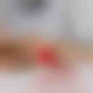 Haustierspielzeug, das sich bei Berührung bewegt | GATOPLAY