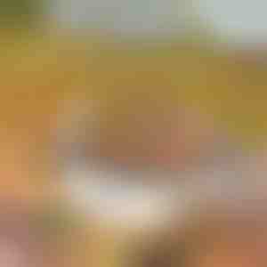 Tragbarer Grill | GRILLSTER