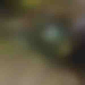 Zusammenklappbare Schubkarre | TROLLYFOLD