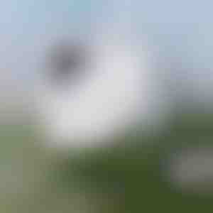 Mühelose Fensterreinigung | WINDOWSWIPE