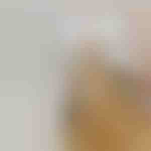 Wiederaufladbare Sprühdampf-Haustierbürste | GROOMSY