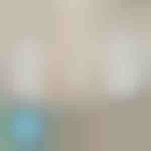 Bettlakenspanner, die niemals verrutschen (4 Stück) | EVOHOLD