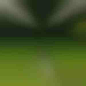 Rotierender Stativ-Sprinkler | HYDRASPRINK