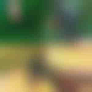 Professionelle 2-in-1 Baumschneide- und Veredelungsschere | MASTERCUT