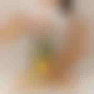 Ananasschneider, der mühelos funktioniert | PINECUT