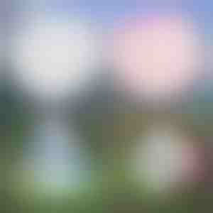 Mehrzweck-aufblasbare blase | SLIMEBUB