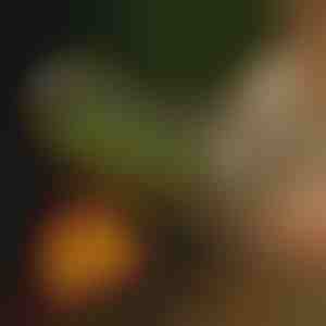 Roll-Grillkorb | ROLOGRILL