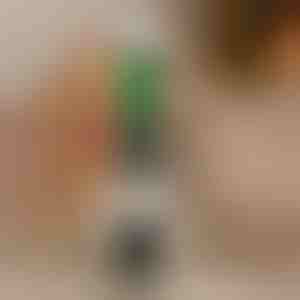 Wasserqualitätstester – sofortige TDS-, EC- und Temperaturergebnisse | WATRIUS