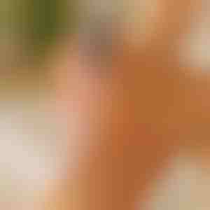 Rissige Fersen glatt in 5 Minuten | PEDIVIA