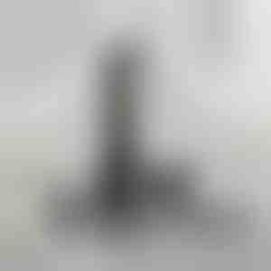 Vielseitiger Pflege-Trimmer | SHAVIX