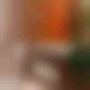 Politur für Schutz & Glanz | BEEWAX