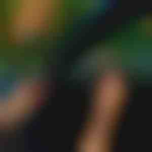 Autotürdichtungsstreifen (5m) | EVOSEAL