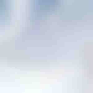 Magnetische Windschutzscheibenabdeckung gegen Schnee | FROSTCOVER