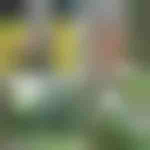 Tragbare Duschpumpe - USB wiederaufladbar, 4-5 L/min, 1,5 m Schlauch | HYDROPORT