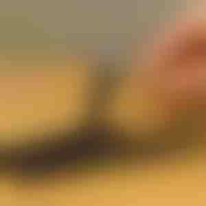 10-teiliges Schraubenausdreher-Set für beschädigte Schrauben | SCREWX