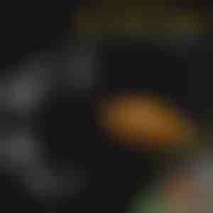 Aquarium-Futtertablett-Set | FINTROL