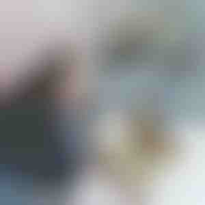 Tierhandschuhe MITTENPET