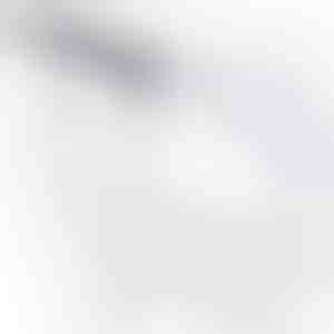 Bremsenentlüftungsset - jedes Fahrzeug | BLEEDHOSE