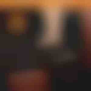 Wasserfeste Hundedecke für den Autositzrück | CARIPET