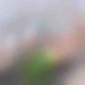 Erweiterter Aktivkohle-Wasserhahnfilter | CHARFILTER