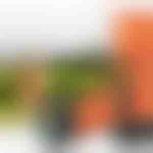 Ultraschall-Haustier-Trainingsgerät | WOOFSTOP