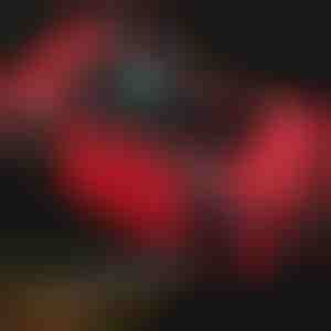 Intelligentes Fahrzeug-Batterieladegerät | EMERGIX