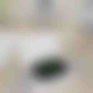 Kabelloses Ladegerät für Apple Watch | WATCHBANK