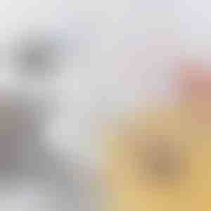 Flexible Bürste für verstopfte Abflüsse & Rohre | DRAINOVA