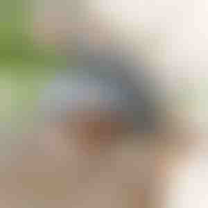 Interaktives flatterndes Vogelspielzeug | CHIRRCAT