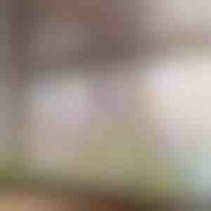 Lebhafter Blumenfensteraufkleber | FLORASTIK