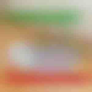 Wiederverwendbare, auslaufsichere Welpenunterlagen | PAWSORB