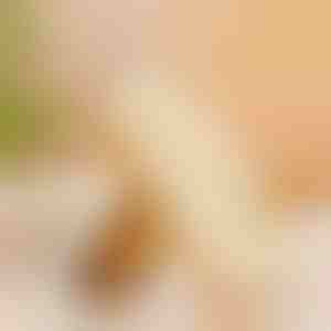 Gummischuhbürste | RUBSHOE