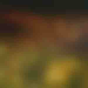 Solar-Gartenleuchten (warmweißes Licht) | SOMPEX