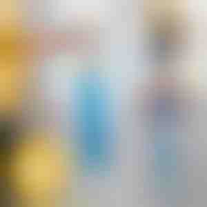 Staubwedel mit langer Reichweite | DUSTOFF