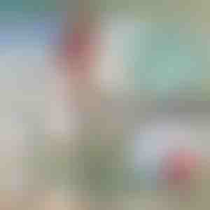 Teleskopischer Bootshaken aus Metall | FASTDOCK