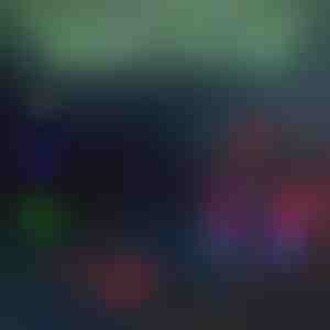 Fahrrad-Projektionsrücklicht | BIKELITE