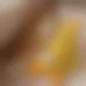 Beruhigendes Hunde-Plüschtier mit Quakgeräusch - reduziert Trennungsangst | CALMQUA