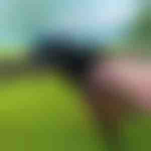 Schwerlast-Kabelbinderwerkzeug | ZIPFLEX